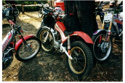 Twinshocks0010.JPG