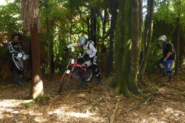 My new Fantic 301 :-)