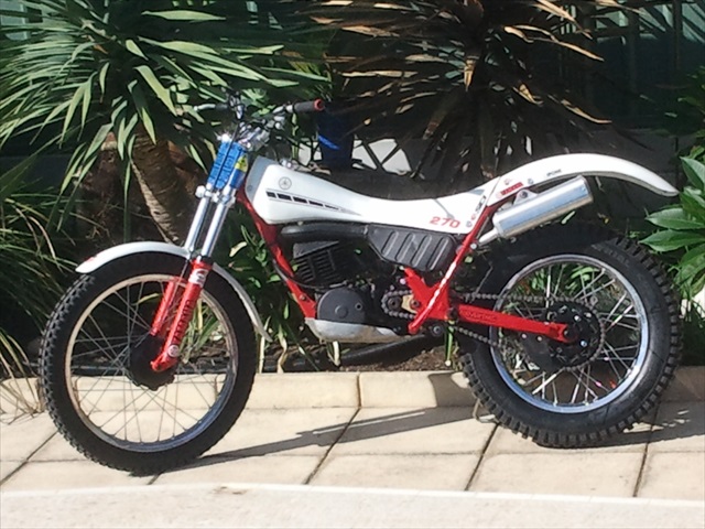 2013-04-28 Sh.jpg