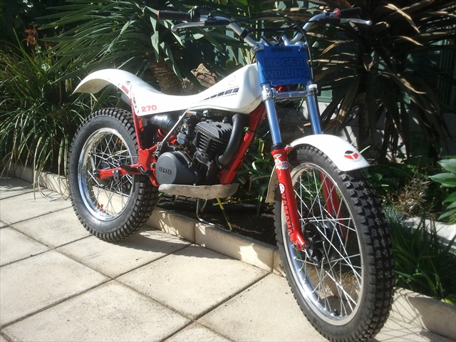 2013-04-28 14.16.27.jpgST.jpg