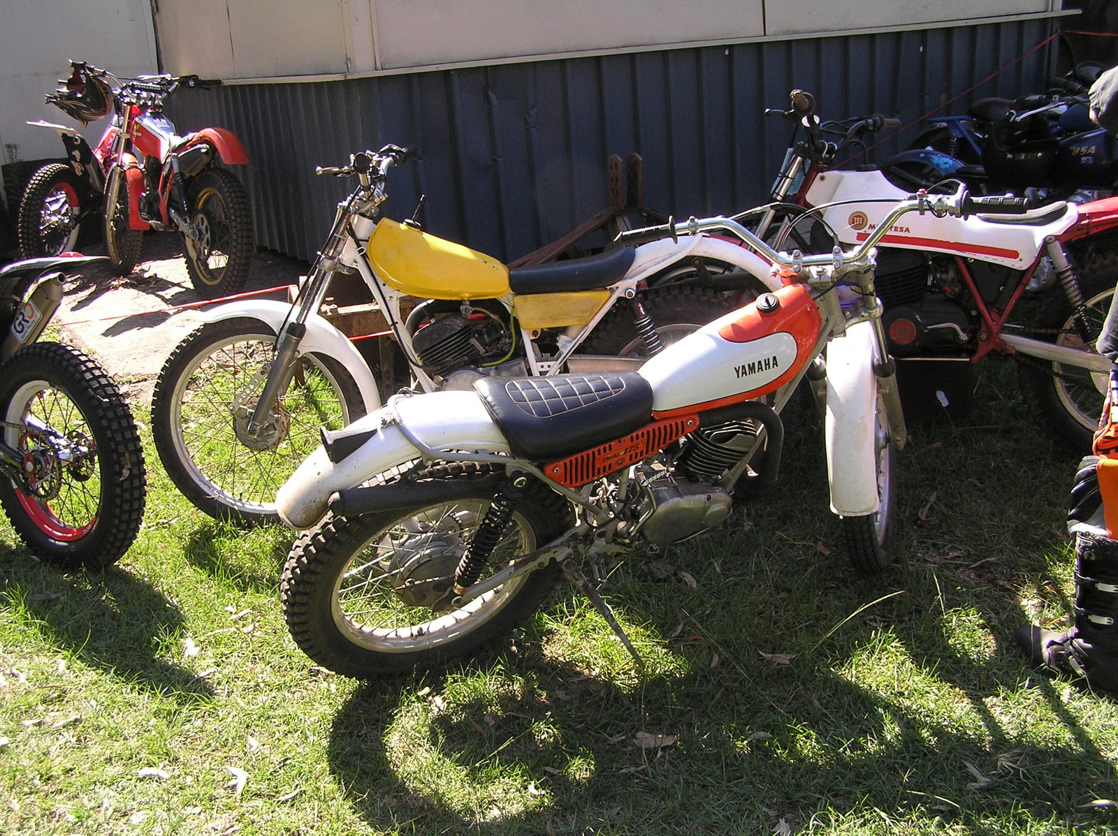 P1010060.JPG