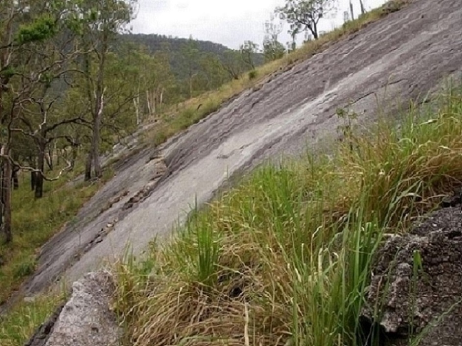 IMGP7719 - Copy.JPG