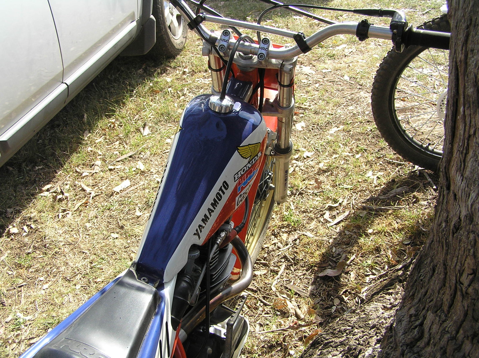 P1010172.JPG