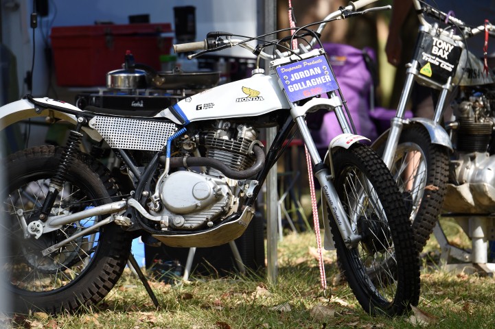 DSC_0378 (Small).JPG