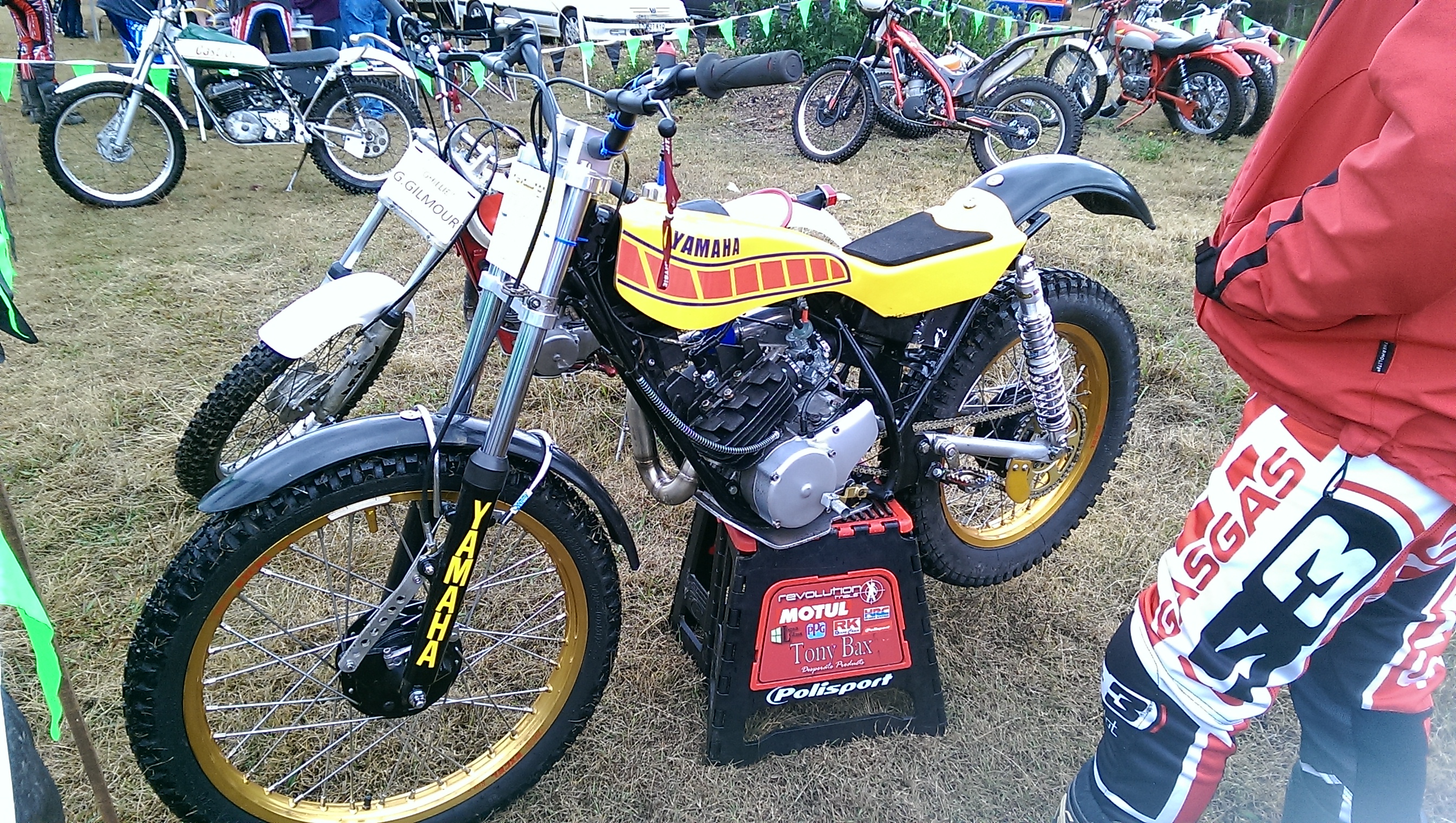 IMAG2553.jpg