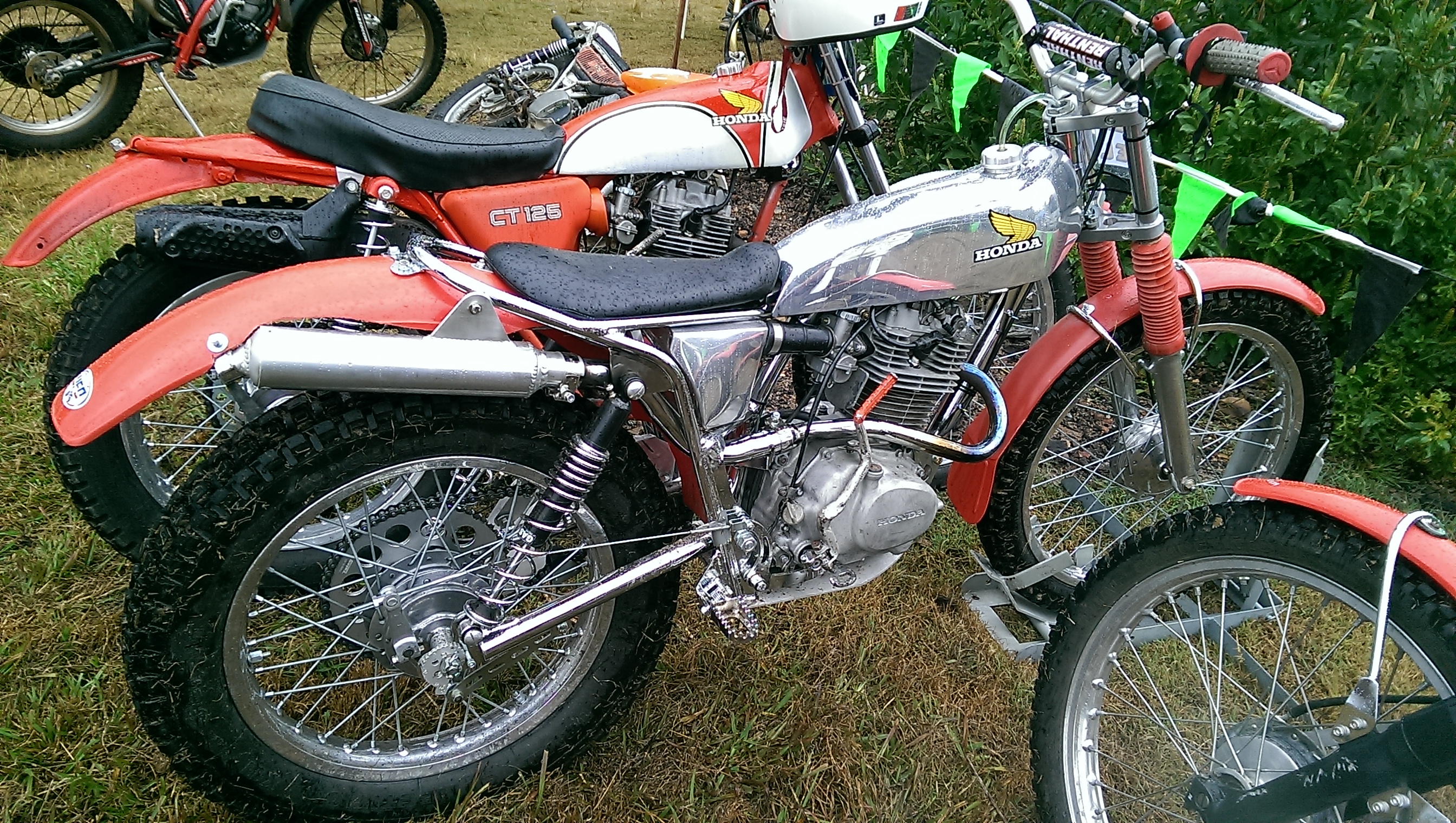 IMAG2559.jpg