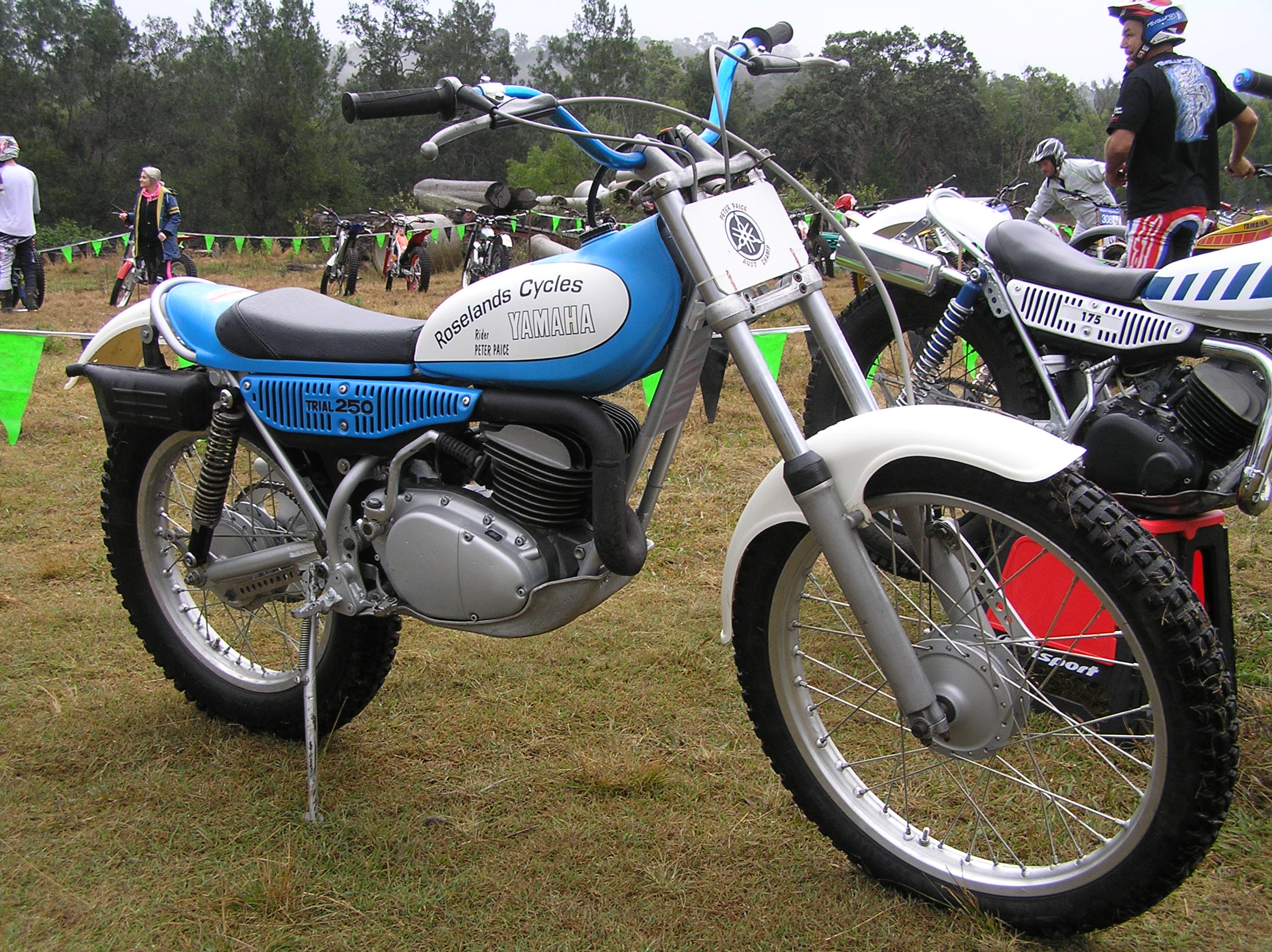 P1010297.JPG