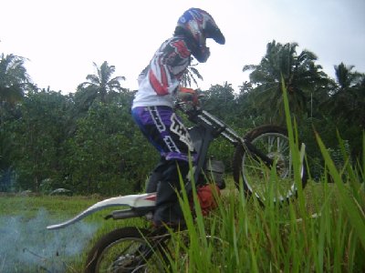 in_action.JPG