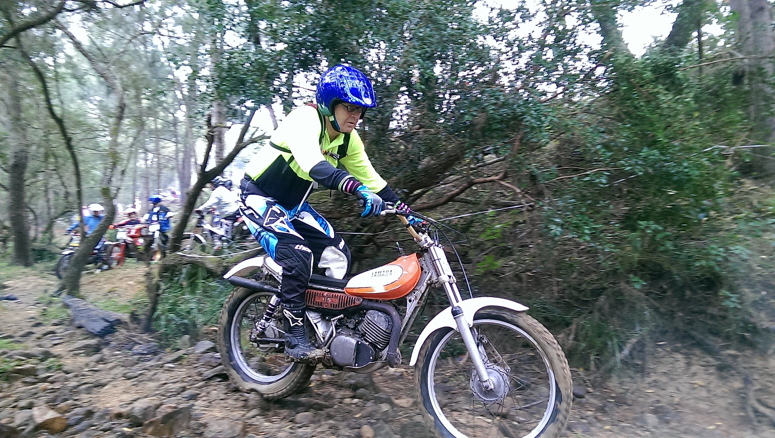 IMAG2650.jpg