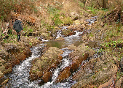 DSC01752.jpg