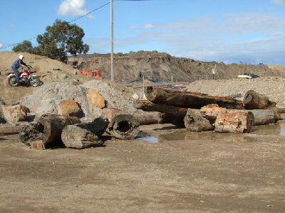 DSCF0484.jpg