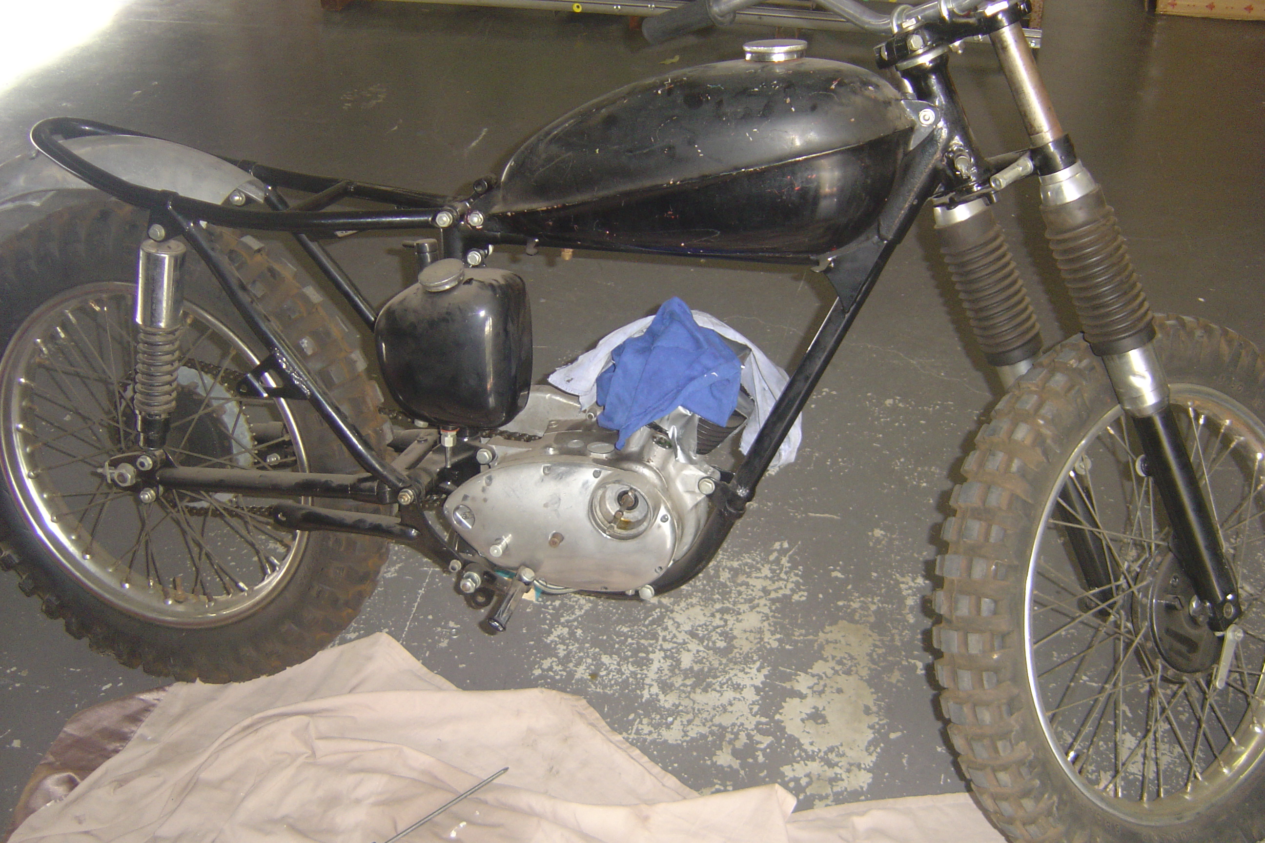 Cub Project 005.jpg