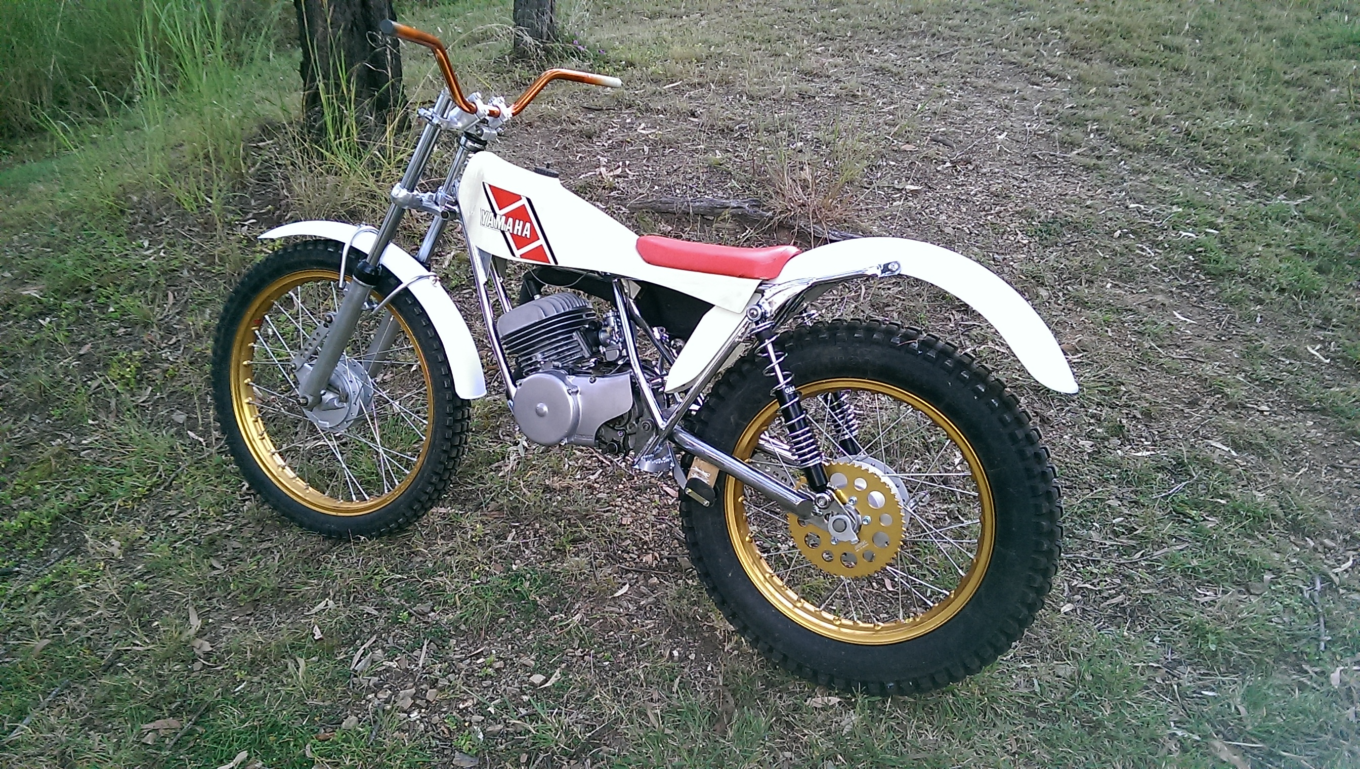 IMAG3580.jpg