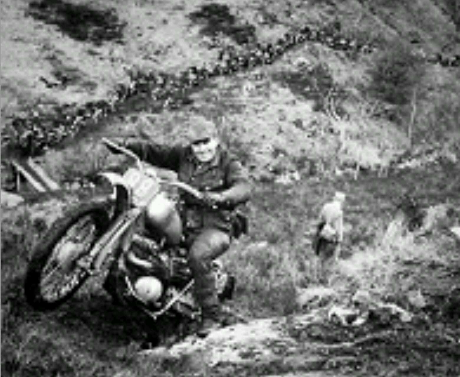 1461970303921.jpg