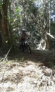Action shot 1.jpg
