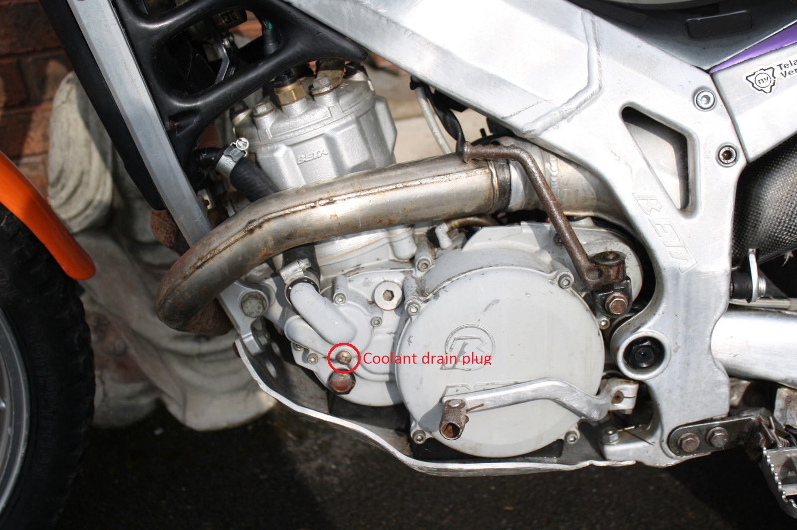 coolant drain plug.jpg