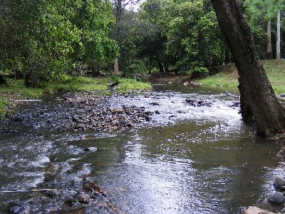 creek.JPG