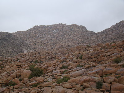 DSC03940.JPG