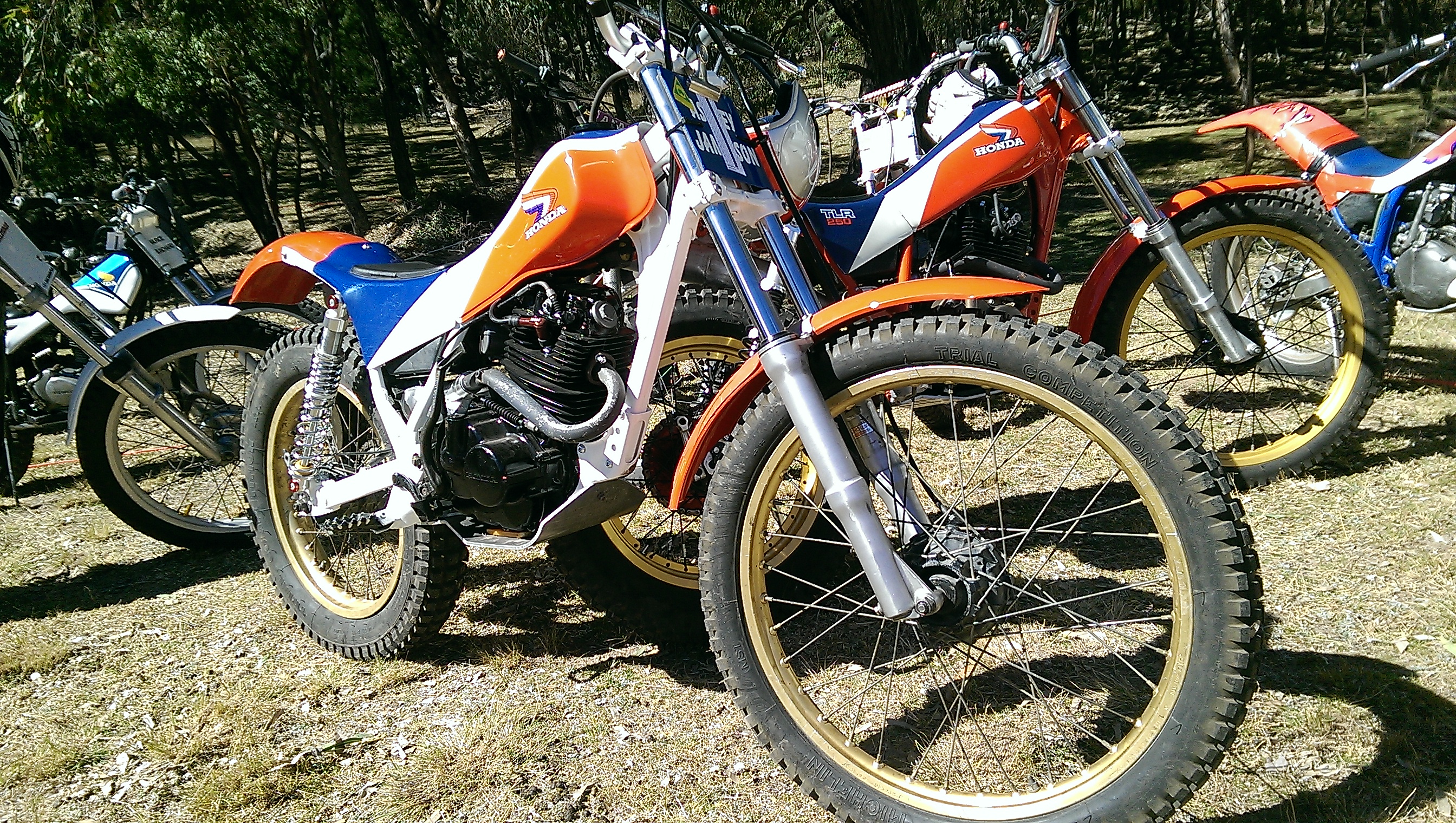IMAG4686.jpg