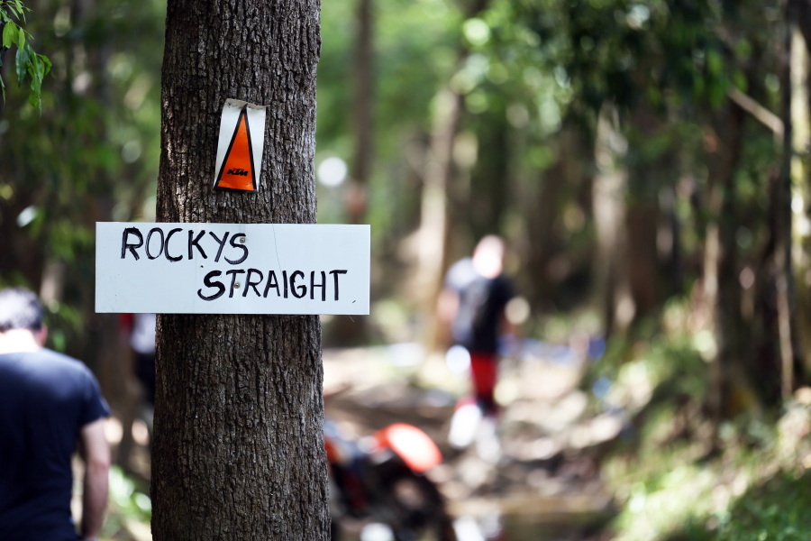 842B0396_resized 900.JPG