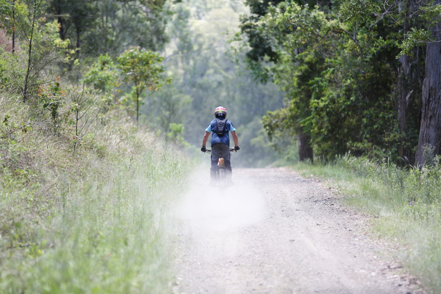 842B1123_resized 900.JPG