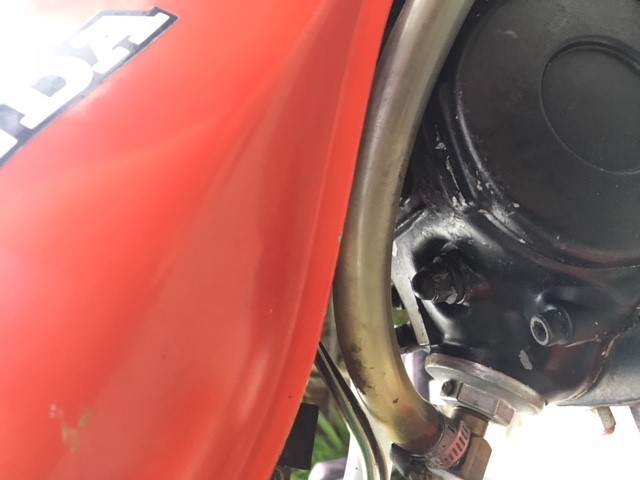 tlr 250 2.jpg