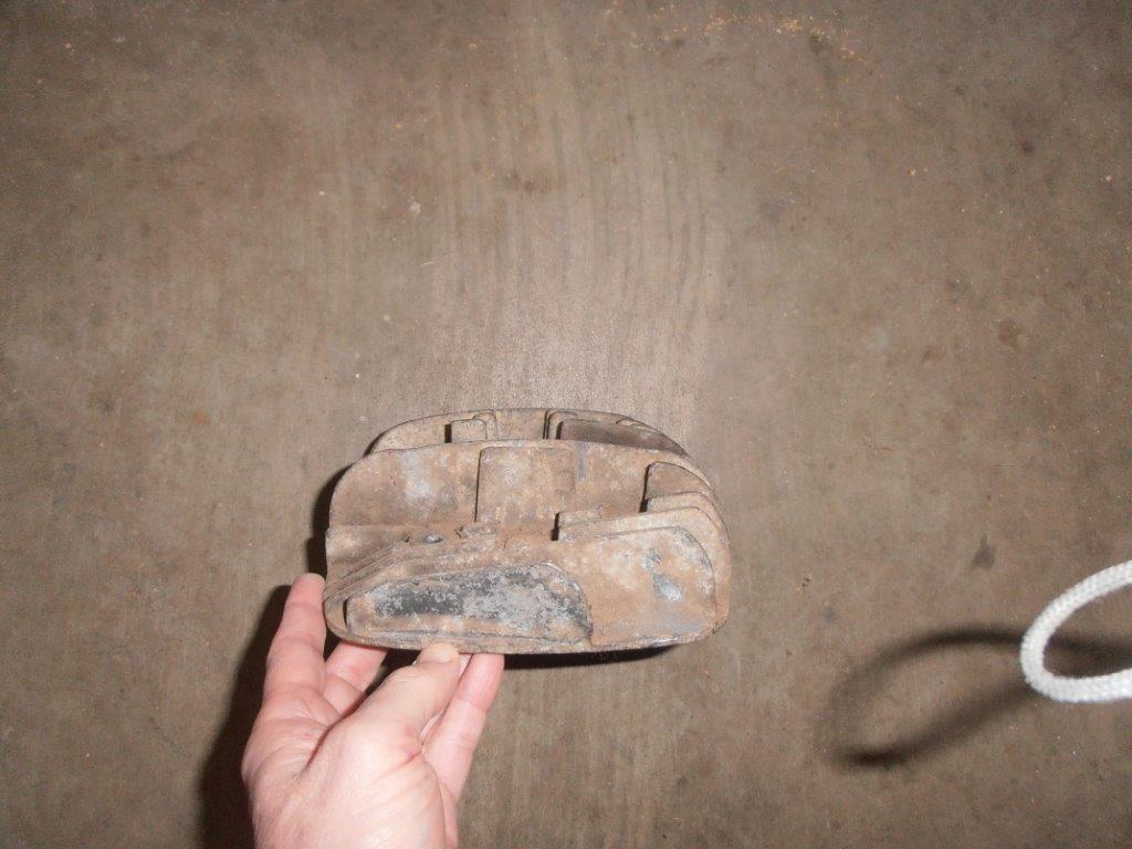 Bul head 2.jpg