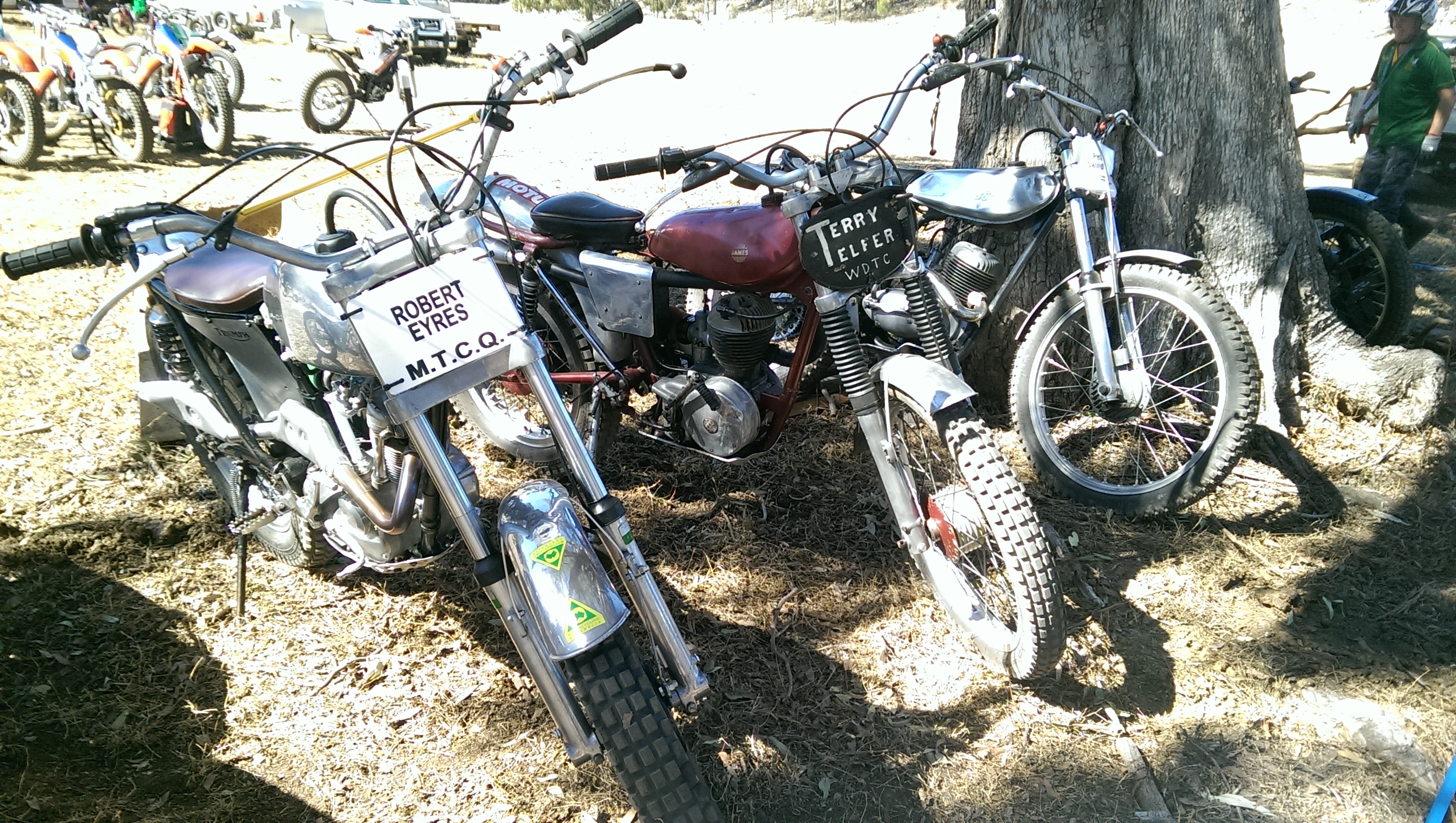 IMAG6009.jpg