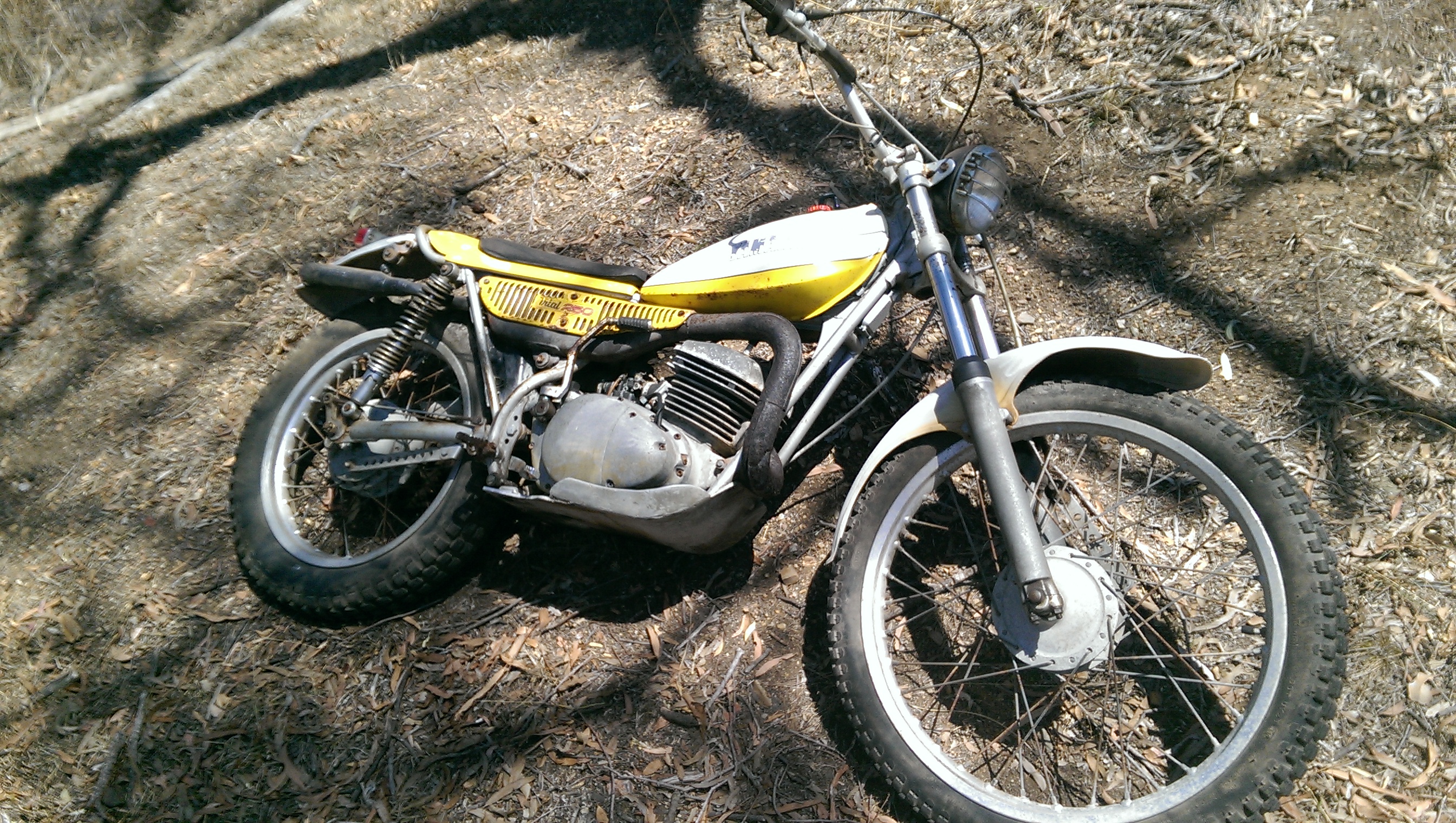 IMAG7775.jpg