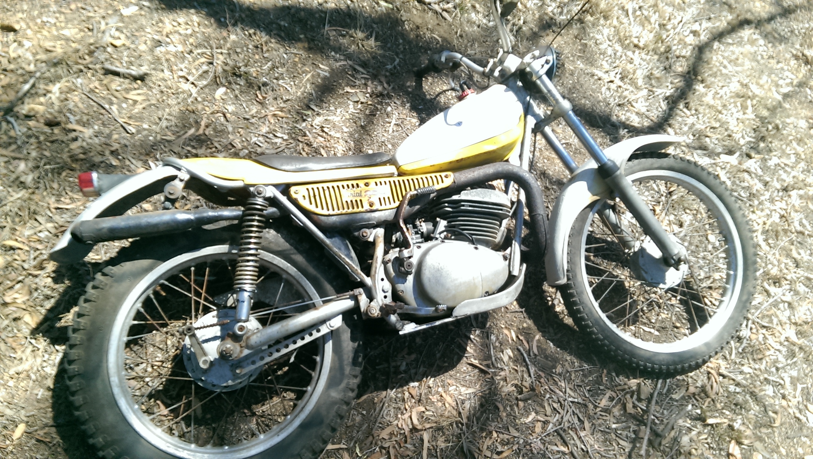 IMAG7774.jpg