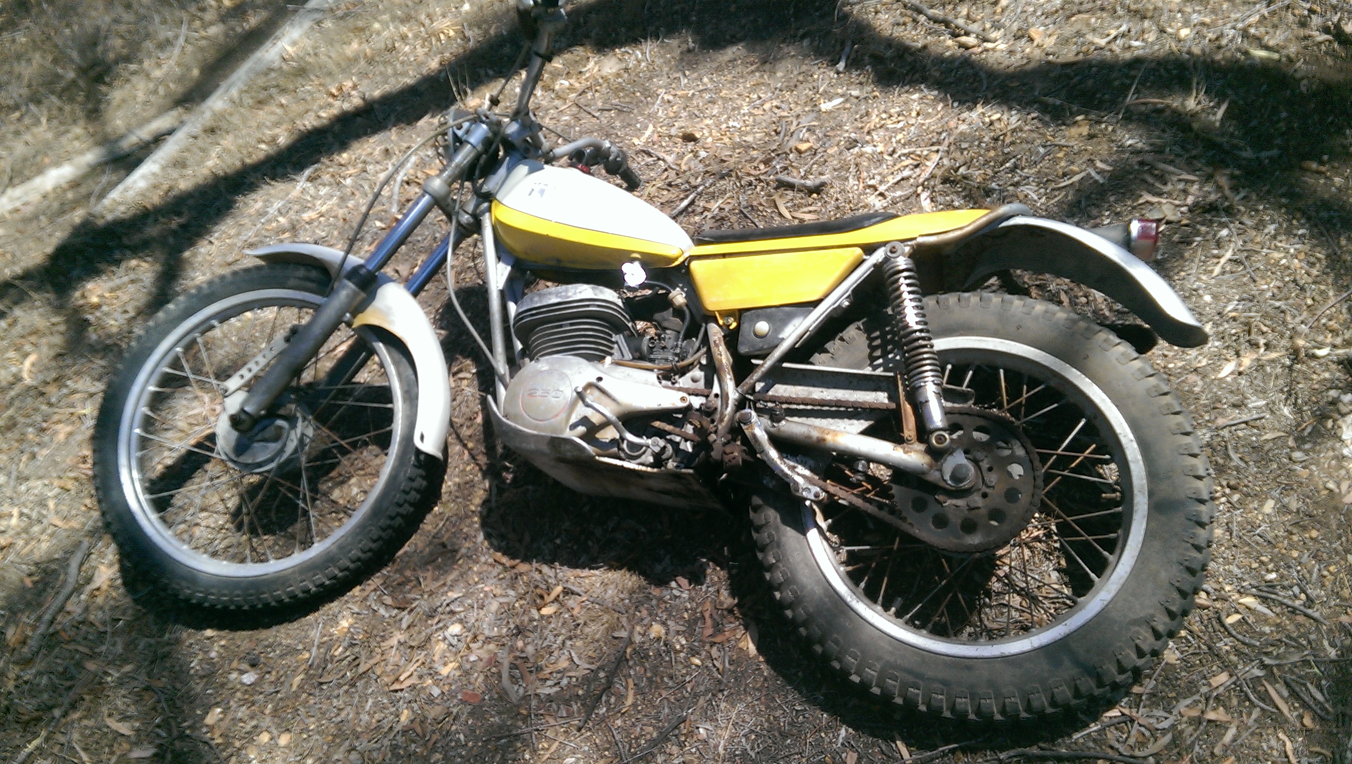 IMAG7772.jpg