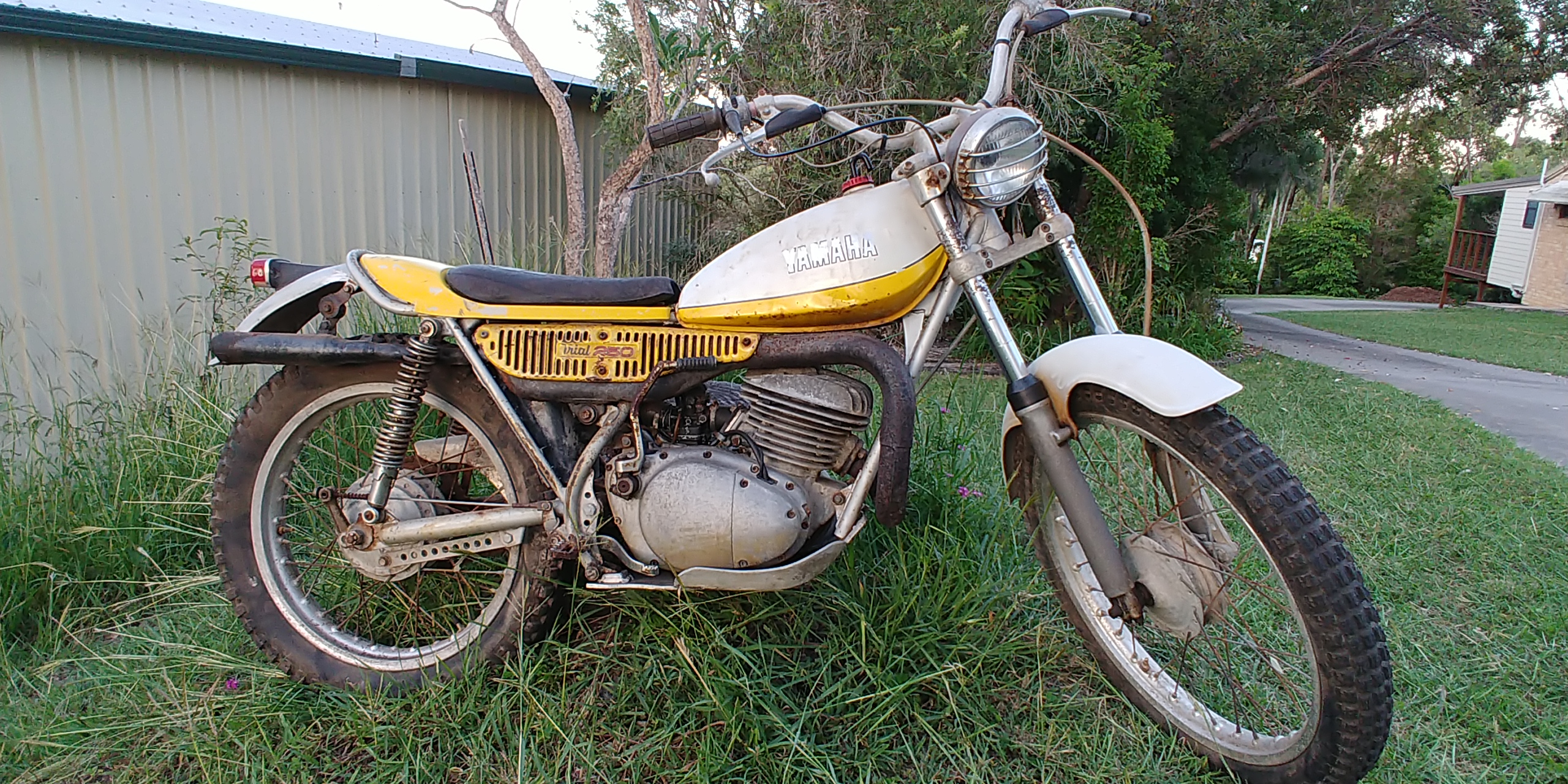 20200403_174238.jpg