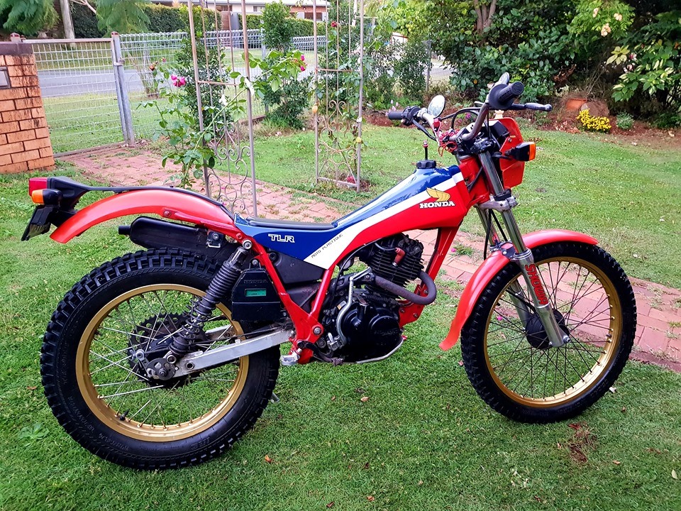 TLR's R Us tank seat.jpg