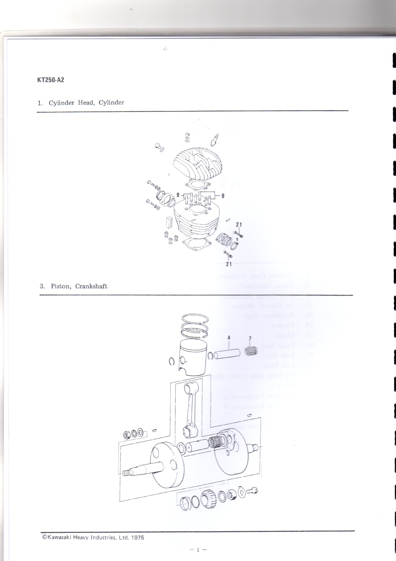 Differences between A and A2 page 1.jpg