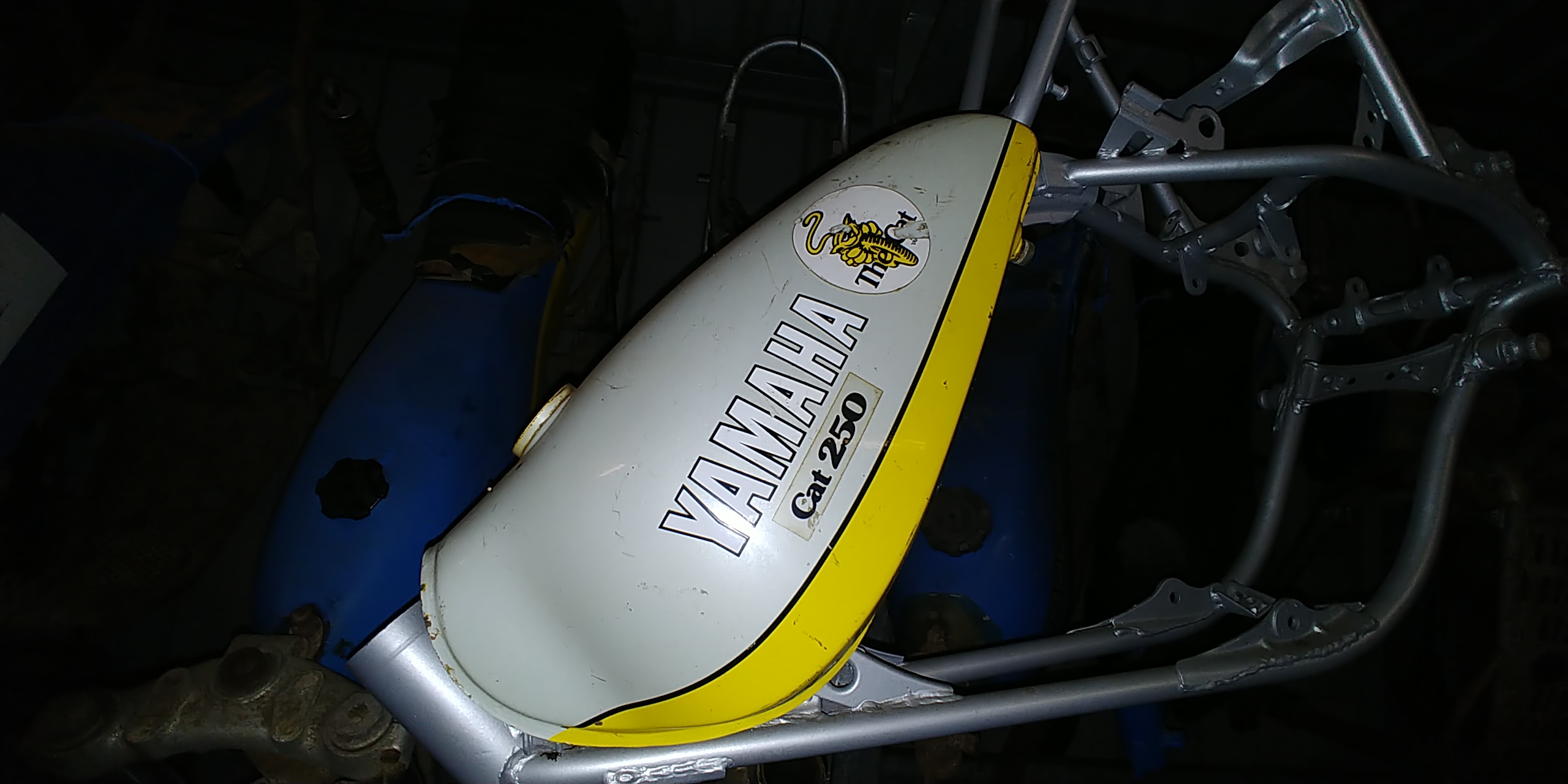20200807_172539.jpg