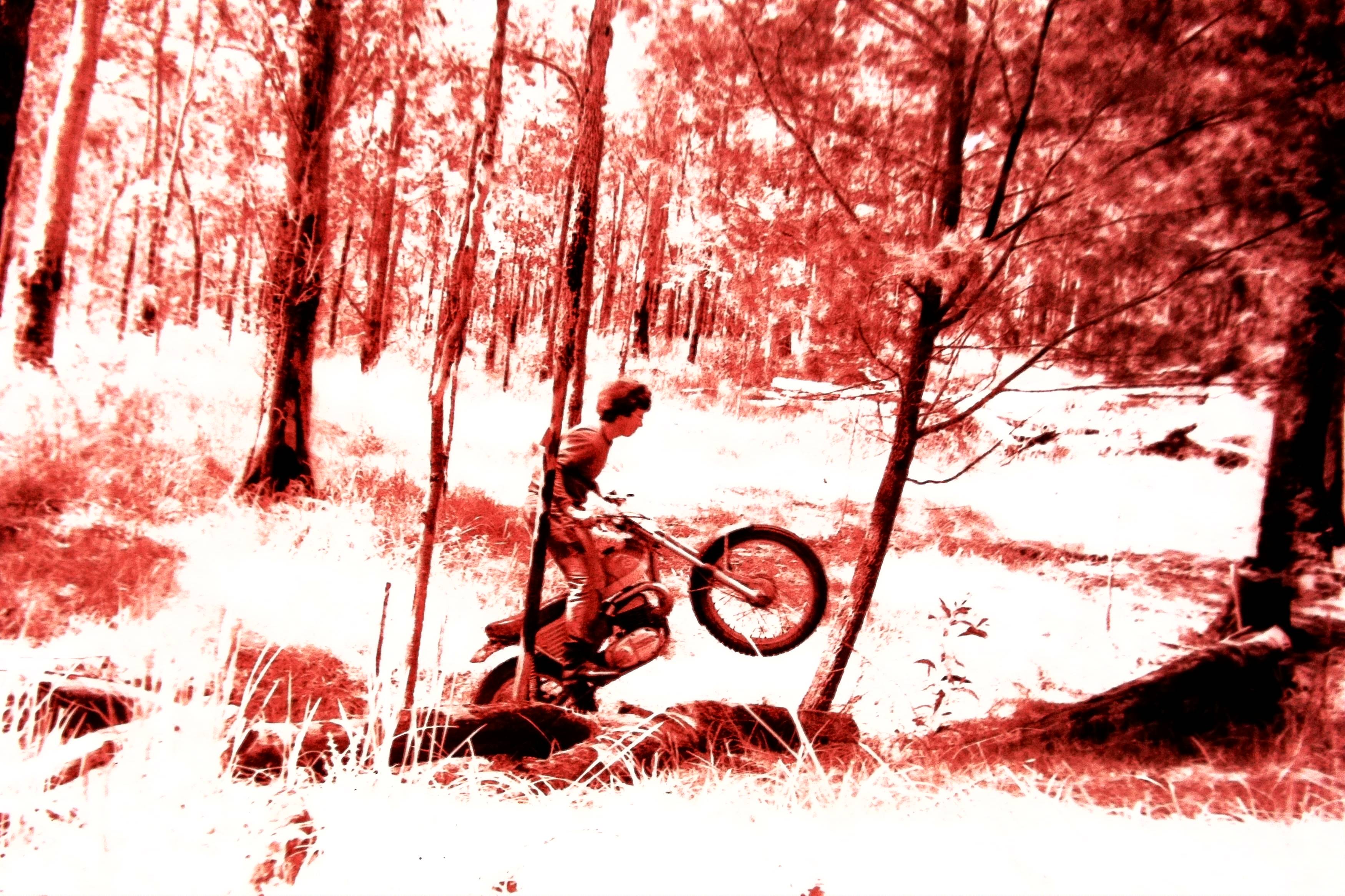 IMAG0040.JPG