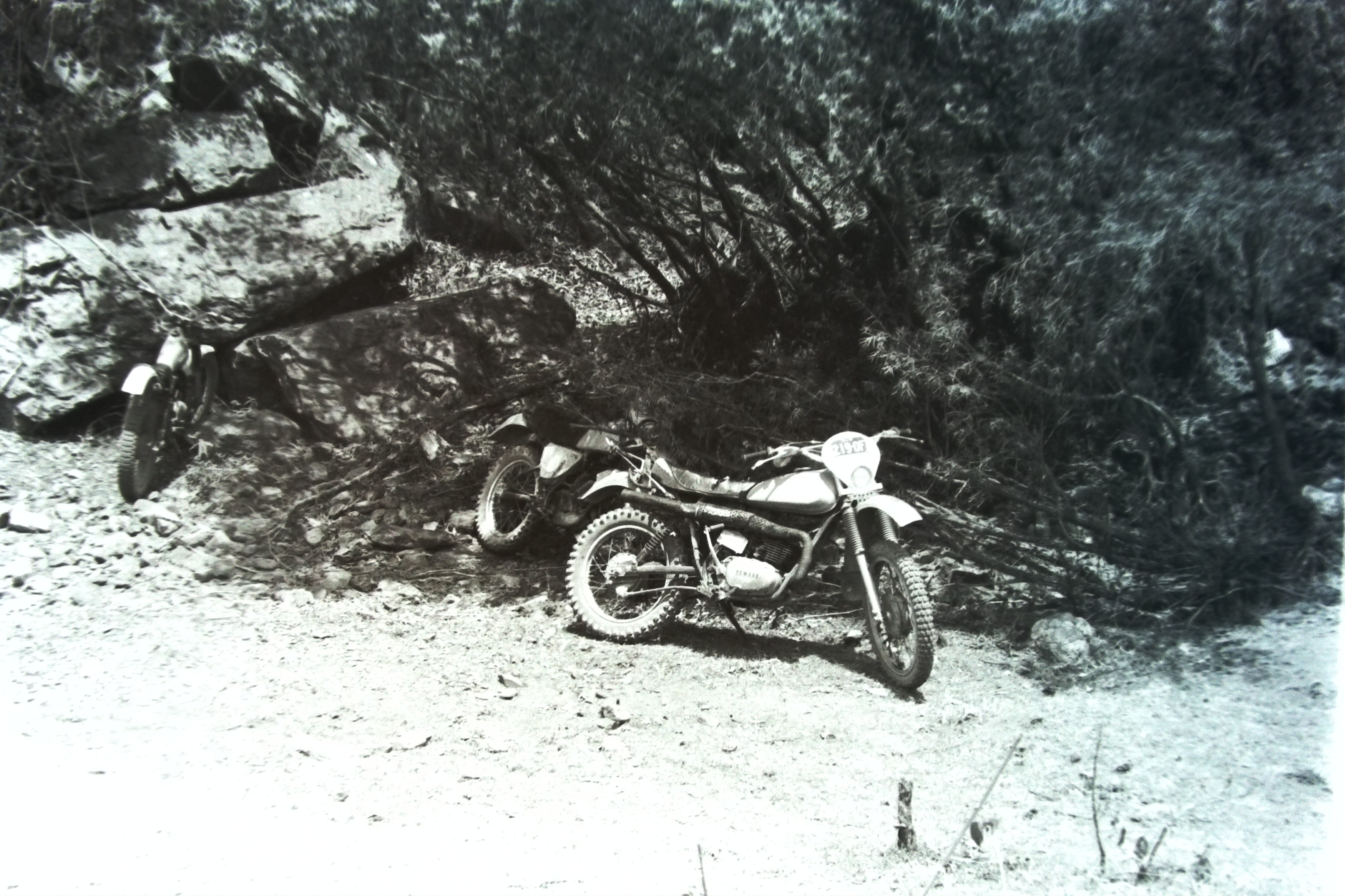 IMAG0030.JPG