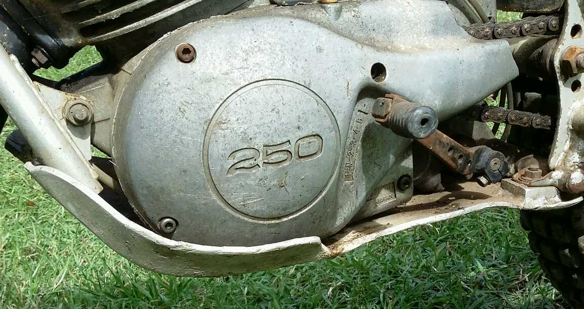 1619039097893.jpg