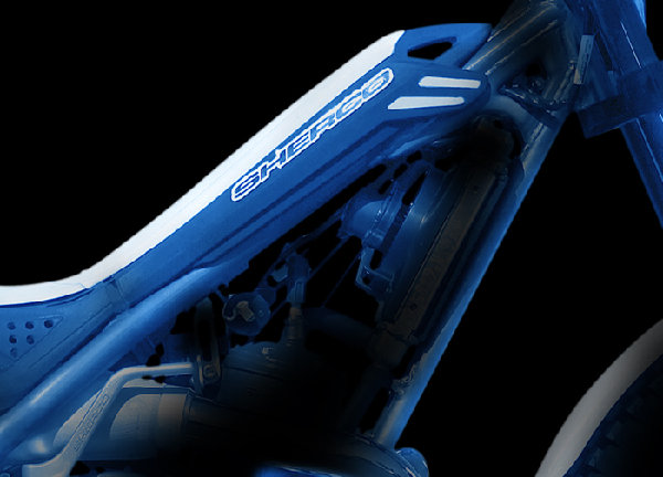 ST2010_d1.jpg