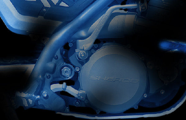 ST2010_d2.jpg