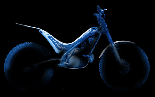 ST2010_p.jpg