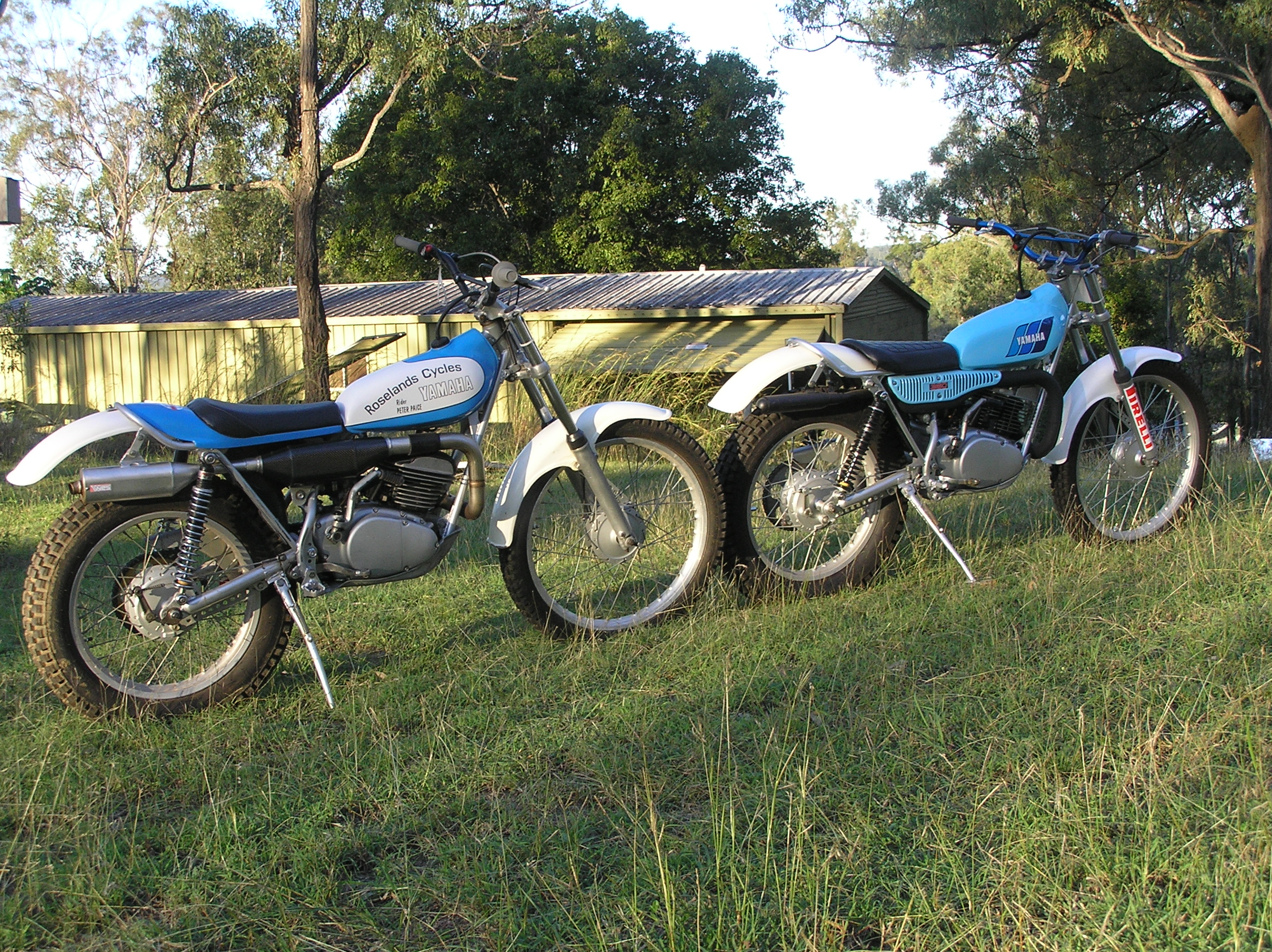 P1010087.JPG