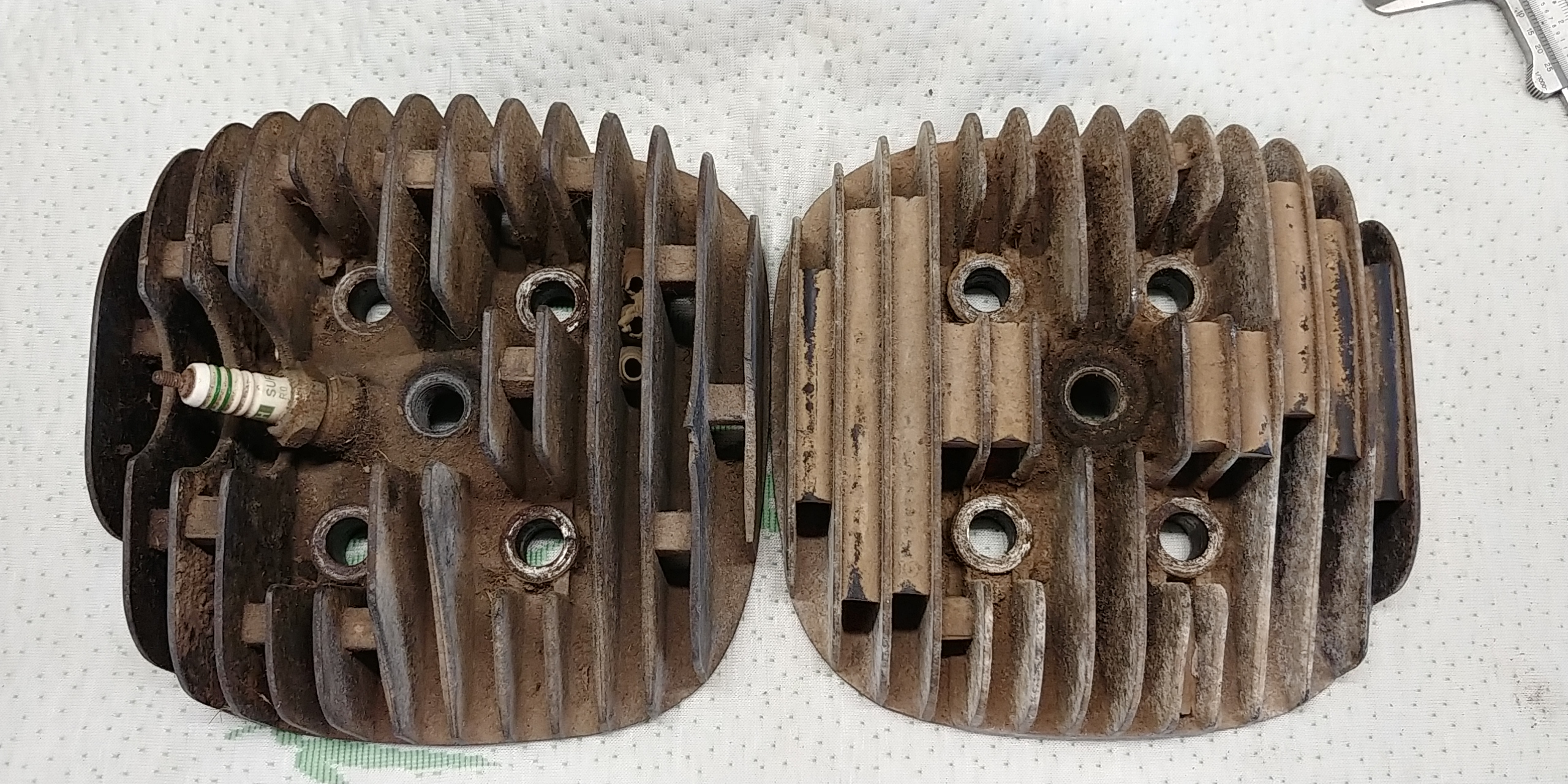 20230304_112200_HDR.jpg