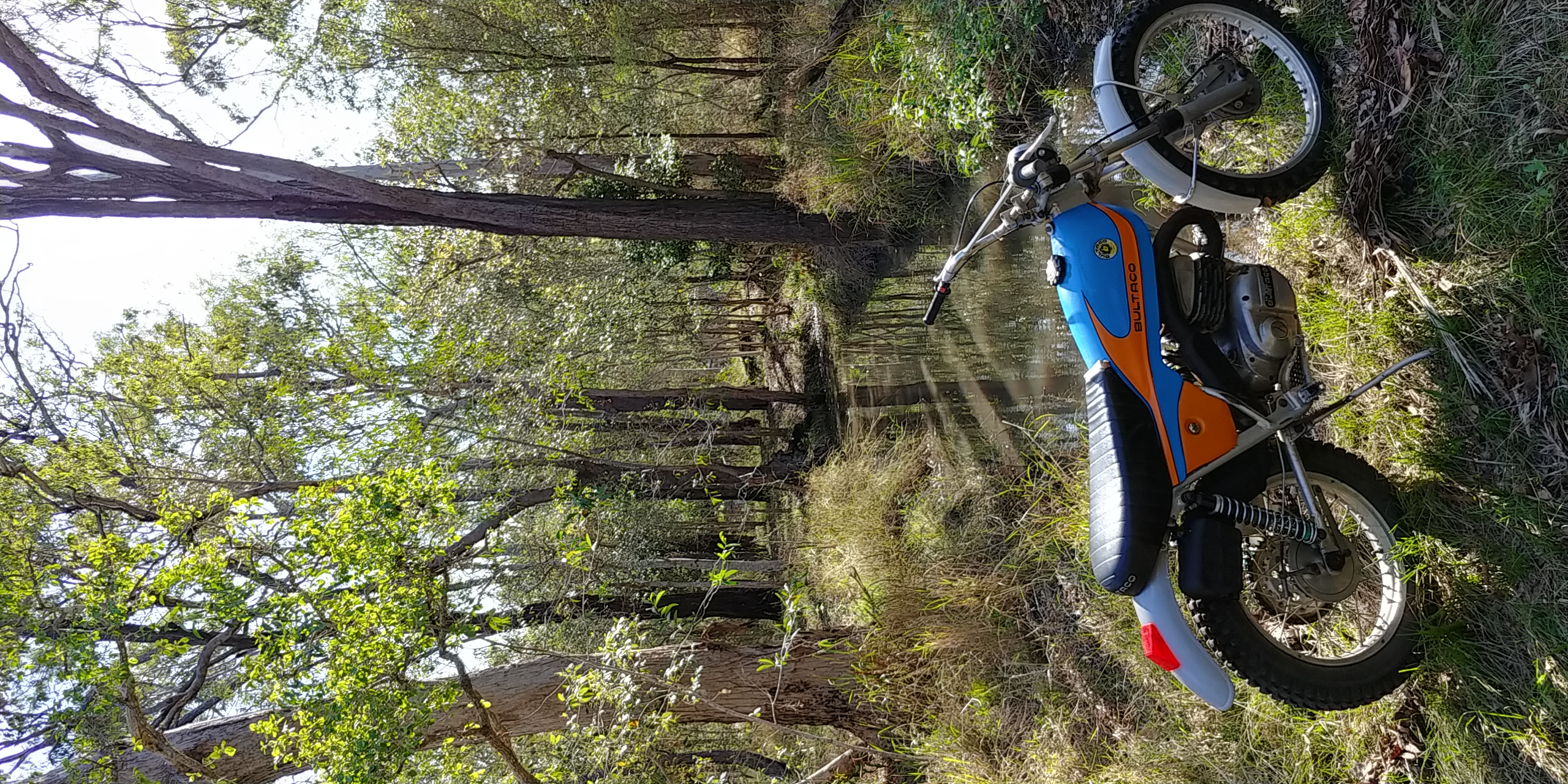 20251115_154454_HDR.jpg