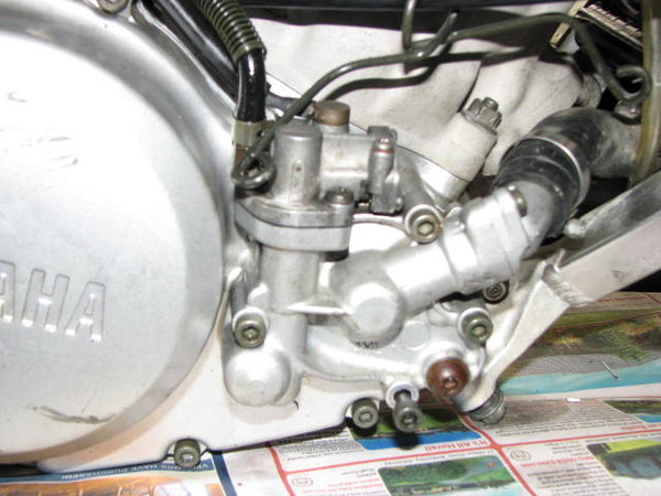 Water pump and oil pump