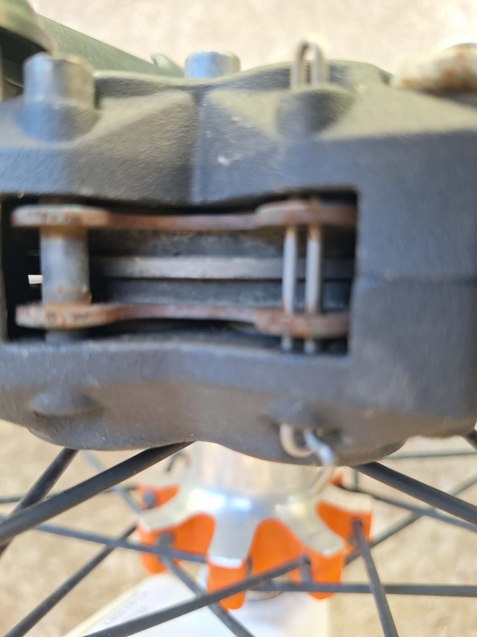 2018 Scorpa SC 300 RACING (2).jpg