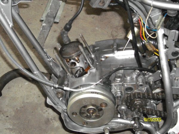 amelia and jack pet 09 029.JPG