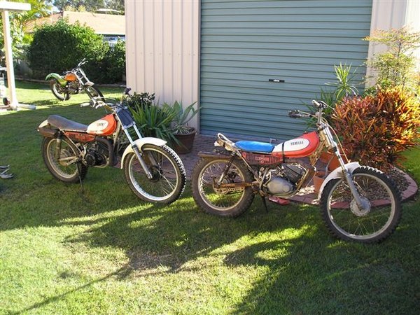 TY Twins smaller.jpg