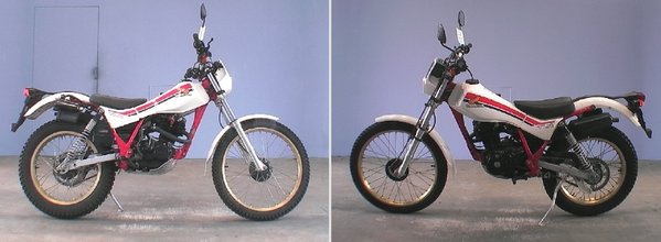 TLR200 5_5_10.jpg