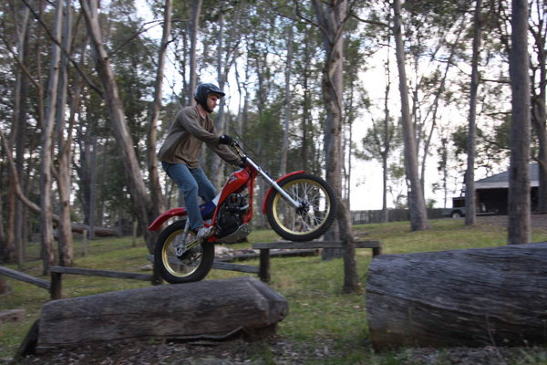 Log gap 1.JPG